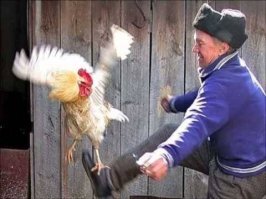 Четкие и опасные: их боится Росгвардия и обожают девушки