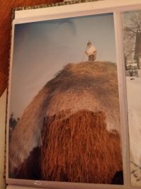 Эх... запах сена... помню с Дедом моим .... царство ему небесное. на покос гоняли))) так не любил грести но дед матом подгонял))) Эх...залезет на стог и давай подавай с копнушек сено ему))) укладывать..не поленился с альбома сфоткал)) били времена)))