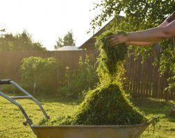 Вот всё хорошо, кроме этого. Сбитая тримером трава воняет силосом. У меня аж... Запах скошенной травы косой по утренней июньской росе совсем другой.

Источник:  © Fishki.net
