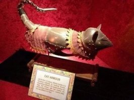 Конечно не по своей. 
Сам бы он мифриловый доспех выбрал. 
Но денег пока нет.