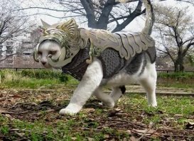 Конечно не по своей. 
Сам бы он мифриловый доспех выбрал. 
Но денег пока нет.