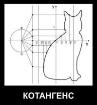 Смешные картинки из соц сетей