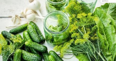 Картинки с незабываемыми запахами, насквозь пропитанные воспоминаниями