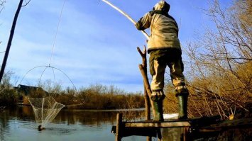 Смешные картинки из соц сетей