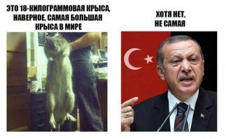 Неужели так быстро забыли сбитый Су-24 ... Погибших летчиков и морпеха ... После сбиты Су-25 и погибшего летчика ... Ах да турки действовали руками своих шестерок террорюг-туркоманов.