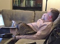 Прикольные и смешные картинки