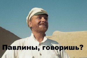 30 необычайно красивых птиц, о которых вы, возможно, не слышали