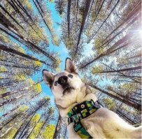 Наташ, вставай! Я их всех прогнал!