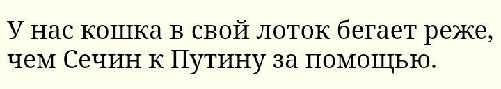 Анекдоты воскресенья
