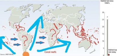 Ну кроме того бреда, что цунами могло перевалить через анды, пролив дрейка как бы совсем не в том месте 

А так да - хорошая теория для плоскоземельщиков