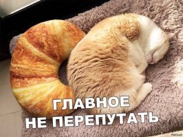 Прикольные фотографии - воскресный выпуск