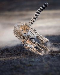 классная фотка