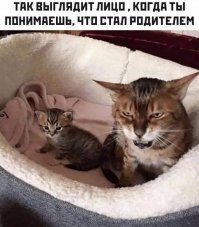 Весёлые и познавательные фотографии, потому что вы заслужили хорошее настроение
