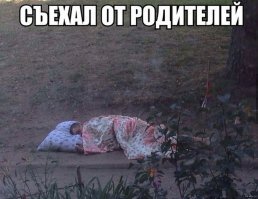 могло быть и хуже