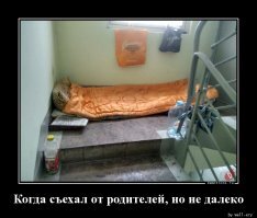 Семья построила маленькую деревню, где у каждого ребенка свой собственный дом