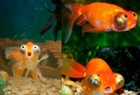 Смешные картинки из соц сетей