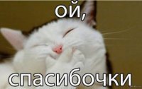Смешные картинки из соц сетей