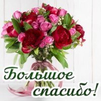 Смешные картинки и не очень