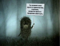 Годный пост.