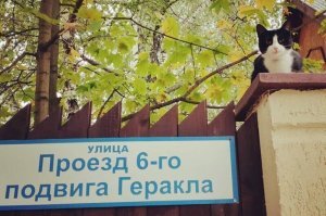 Название улицы тоже доставляет.