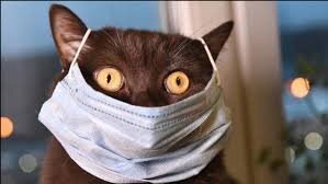 Весело тут у вас...
Число людей, заразившихся коронавирусной инфекцией в Соединенных Штатах Америки, за последние сутки превысило 1,5 млн, сообщает статистический портал Worldometer.
  17.05.2020 | 03:41