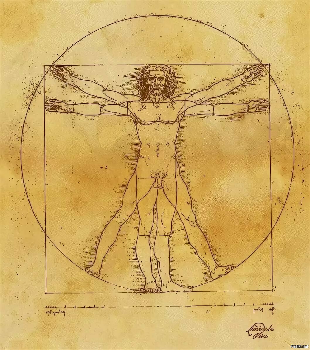 Леонардо да Винчи человек в круге