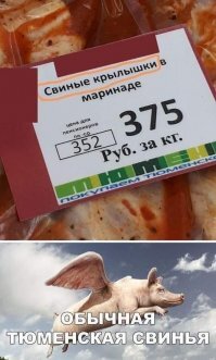 Веселые  картинки