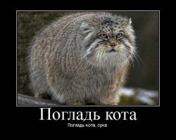 Не баян, а классика