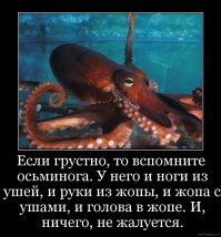 Гигантский осьминог: 3 сердца, голубая кровь, 9 мозгов. Образ жизни крупнейшего осьминога!