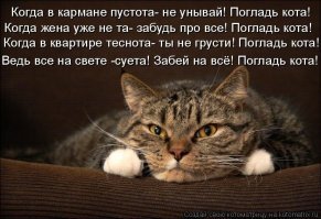 Прикольные и смешные картинки