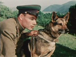 "Над Тиссой" очень сильный фильм

1951 год. Из Берлина едет демобилизованный молодой старшина, герой войны Иван Белограй. Попутчик   начальник лесосплавной конторы Дзюба   выведывает у Белограя, что его родители погибли в войну, а сам он после войны переписывался с девушкой из Закарпатья   Терезией Симак, решил демобилизоваться и поехать к этой девушке, чтобы впоследствии жениться на ней. Попутчики выходят вместе на станции и садятся в грузовик. По дороге Белограй просит водителя остановиться у памятника советским воинам, погибшим при освобождении Закарпатья. Водитель Скибан подкрадывается к Белограю сзади и наносит ему смертельный удар. Сняв с Белограя военную форму, забрав документы и прикрыв тело камнями, преступник скрывается.

Чуть позднее на территорию СССР нелегально проникает вражеский агент с задачей взорвать железнодорожный мост через реку Тисса, находящийся недалеко от села, куда ехал Иван. Диверсант входит в контакт с местным резидентом Дзюбой, выдаёт себя за Белограя и останавливается у Терезии. Пограничный наряд задерживает нарушителя, который перенёс через границу лже-Белограя, но задержанный умирает, так как диверсант успел угостить его отравленным коньяком. «Белограй» передаёт Скибану фотоаппарат, замаскированный под портсигар с приказом сфотографировать подступы к мосту. За этим занятием его замечает старшина погранзаставы Андрей Смолярчук и делится своими подозрениями с капитаном. Случайно встретившись со Скибаном, старшина просит у него сигарет и якобы нечаянно роняет портсигар под откос. Однако осмотр портсигара ничего не даёт. Скибану удаётся передать спрятанный фотоаппарат-портсигар диверсанту. Тем не менее, Скибан попадает под подозрение, так как именно его машина вернулась поздним вечером, когда была засечена радиопередача диверсанта. Дзюба решает избавиться от Скибана, но водитель сам убивает резидента, однако не успевает уйти от пограничников.

Безнадёжно влюблённый в Терезию Андрей разговаривает с «Белограем» и начинает подозревать, что тот не любит её и не тот, за кого себя выдаёт. Свои подозрения он высказывает капитану, генерал решает арестовать лже-Белограя. Мать Терезии получает письмо с газетой из Берлина со статьёй о Белограе и видит на газетной фотографии совсем другое лицо. Терезия отправляется на погранзаставу, но её матери не удаётся скрыть от вернувшегося «Белограя» происшедшее   тот ранит её и скрывается. Пограничники задерживают диверсанта, местные жители находят на перевале тело настоящего Белограя и хоронят его рядом с погибшими товарищами. Смолярчук решает остаться на сверхсрочную службу.