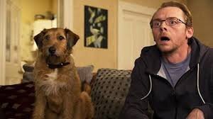 Про понимающих собак вспоминается момент из фильма "Все могу" когда главный герой пожелал, чтобы его собачка разговаривала и пес вместо лая начал просить -" печеньки, печеньки, дай печенек !" Тогда он пожелал, чтобы пес мыслил рационально, но тот продолжал про печеньки, а потом говорит -"да все нормально хозяин, просто я без печенек рационально мыслить не могу" ))