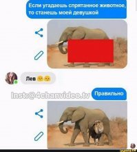 Смешные картинки из соц сетей
