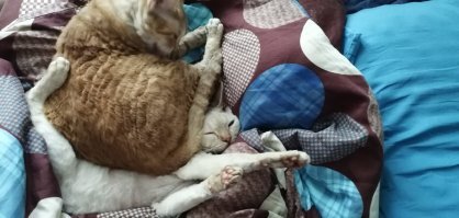 Вот мои <span style='color:gray'>[мат]</span>