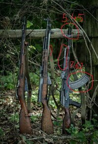 Что за гибрид?