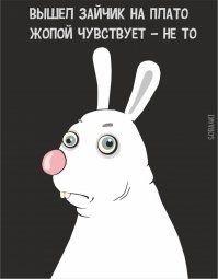 Пройден ли пик заболеваемости коронавирусом?