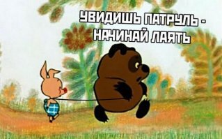 Смешные картинки из соц сетей