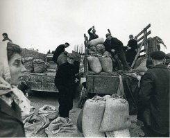 Как на зиму картошкой запасались, не забыли?