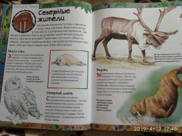 Читает внучка инциклопедию вслух о северных оленях... И тут мой слух резанула фраза... ))) Зимой корма очень мало, и олень может съесть птичьи яйца... )))) 
Приехали... здрасте девочки...))))