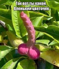 Картинки с надписями