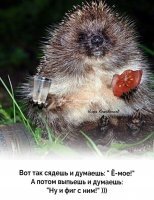 Вышел ежик из тумана
Выпил водки пол стакана
Вынул ножик, колбасу
Хорошо в родном лесу

Тихо песню затянул
О несбывшемся всплакнул
Посмотрел в пустой стакан
И опять ушел в туман...