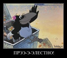 Вороны расплачиваются сокровищами с девочкой, которая их кормит
