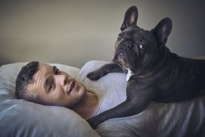 Да. Самая  бойцовая порода. Вон взрослого человека повалила и сейчас придушит