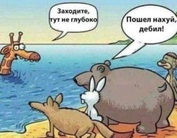 Жизнь жирафа — ежедневный ад и все из-за длинной шеи