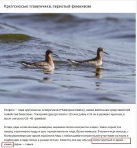 Смешные картинки и не очень