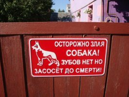 Крокодил не смог съесть девушку, поскольку у хищника отсутствовали зубы