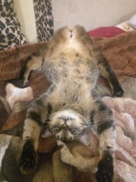 Прикольные и смешные картинки