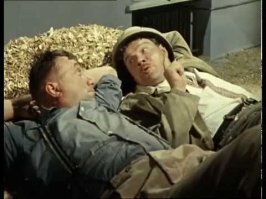 В то время, когда не самые добросовестные иностранные и русскоязычные СМИ наводят коронавирусной жути на граждан России....