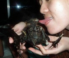 Ага, нулевой пациент?