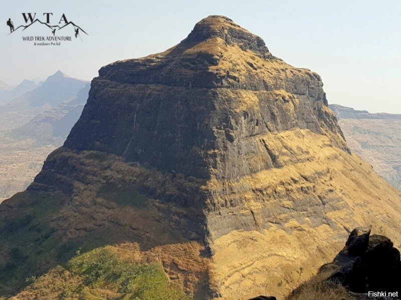 Эй, скептики мохноногие, а такое видели хоть раз? И это лишь малая часть того, что по свету разбросано.